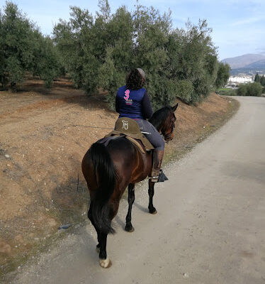 Centro Ecuestre La Garrocha