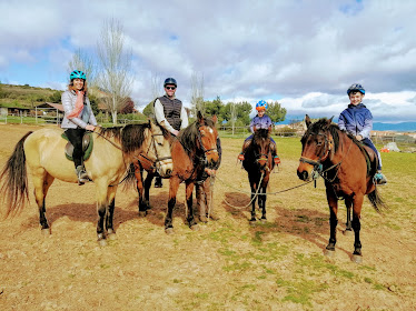 Centro Hipico Navarrete