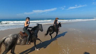 Andalucia Spirit Horse Ranch