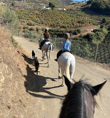 Centro ecuestre Piedras Blancas