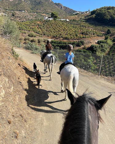 Centro ecuestre Piedras Blancas