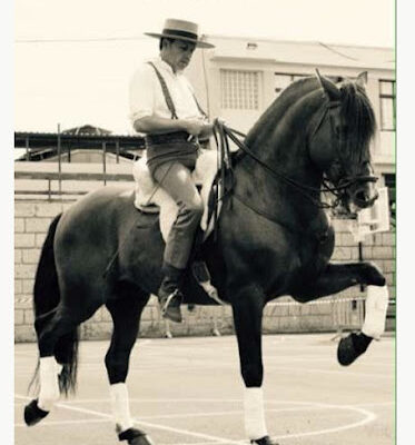 Hipica Cuadras El Medano Centro hipico Horse riding Reitausfluge