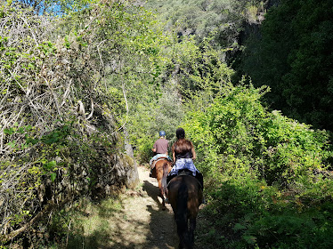 Rancho El Camino Real