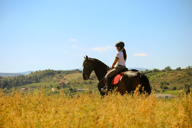 Centro Hipico Las Majadas