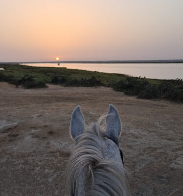 Paseos A Caballo Campo Mar Ecuestre