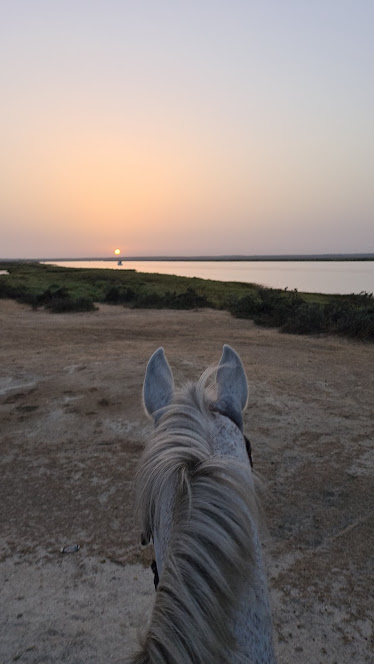 Paseos A Caballo Campo Mar Ecuestre