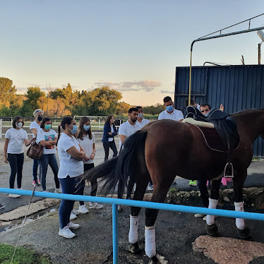 Fran Arenas Doma Clasica