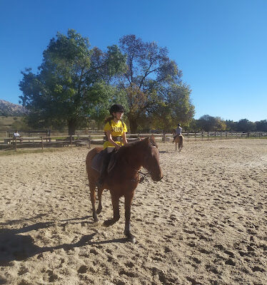 Centro Ecuestre Tovarich