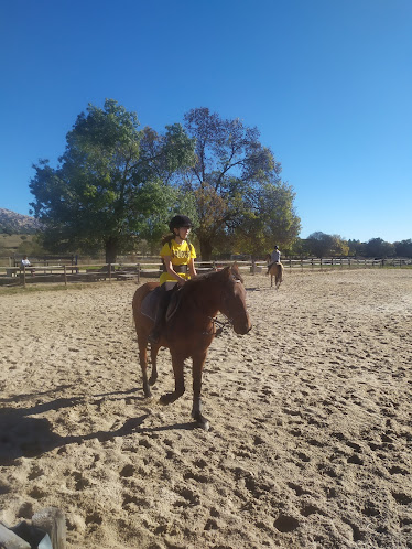 Centro Ecuestre Tovarich