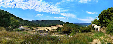 Masia Hipica Cal Senyor