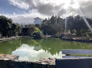 Centro Hipico Riendas Vivas