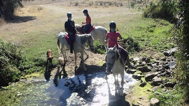 Demei Centro Ecuestre