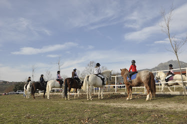Centro ecuestre Entorno Do ana