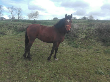 Finca Sope a C M S C