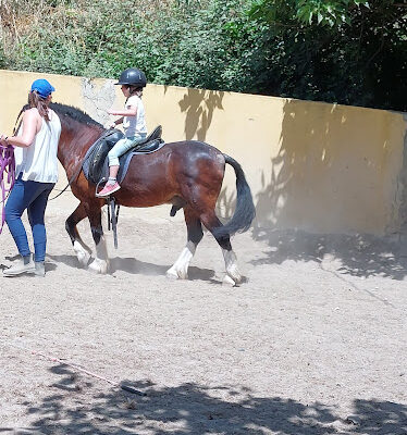 CENTRO HIPICO EL SALADRAR XATIVA PUPILAJE EQUINOTERAPIA