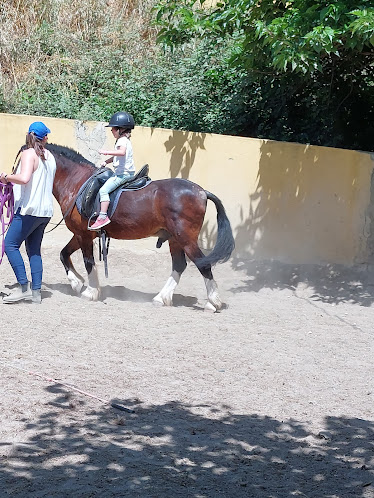 CENTRO HIPICO EL SALADRAR XATIVA PUPILAJE EQUINOTERAPIA