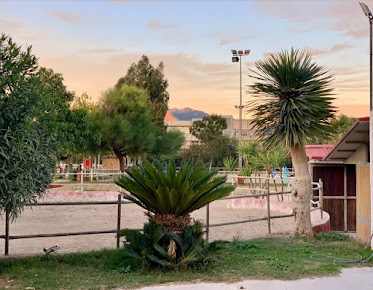 Palma Equestrian