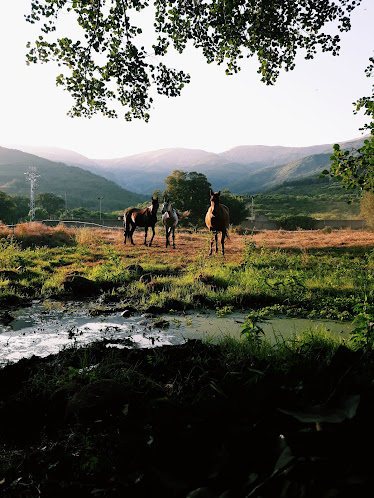 Picadero Los Pilones