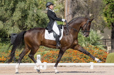 Centro Ecuestre Kimigu