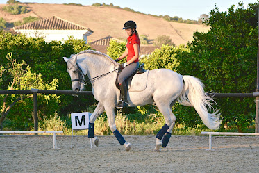 SCHOOL OF DRESSAGE SOTOGRANDE