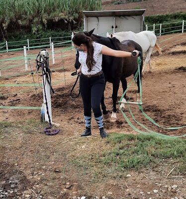 Centre Equestre Jordi Cortes