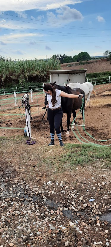 Centre Equestre Jordi Cortes