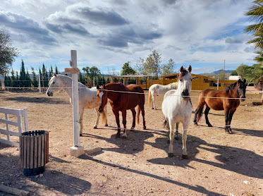 Centre Club Equestre Los Establos Novelda