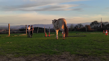 El rincon de finca el Carmen