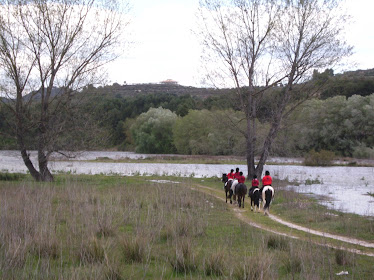 Centro Ecuestre Alcosser