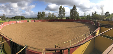 Picadero Escuela Las Cruces