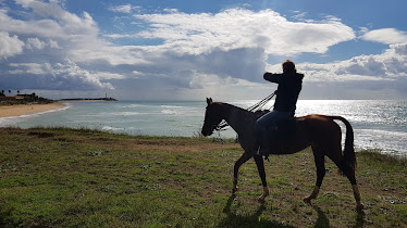 Andalucia Cool Beachrides