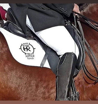 HIPICA SANTA MONICA Pedralba