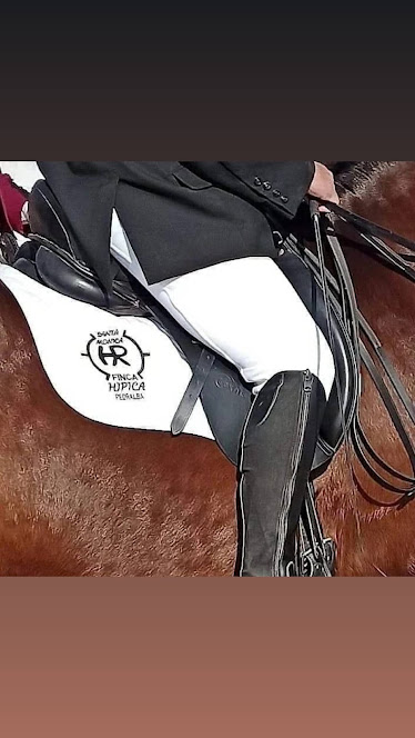 HIPICA SANTA MONICA Pedralba