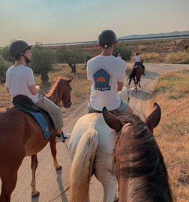 El Mollegar equitacion