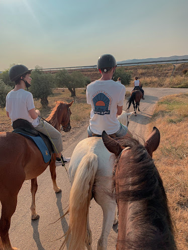 El Mollegar equitacion