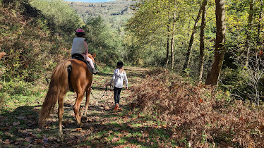GAILUR ZALDIKETA ESKOLA