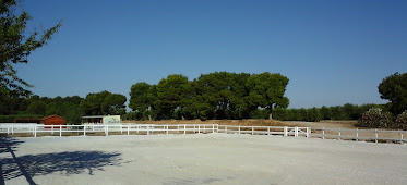 Clases de Equitacion ZARAGOZA HiPICA