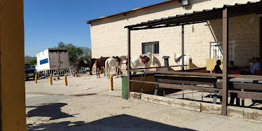 Centro Hipico Valdemoro
