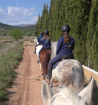 Club Hipico The Paddock