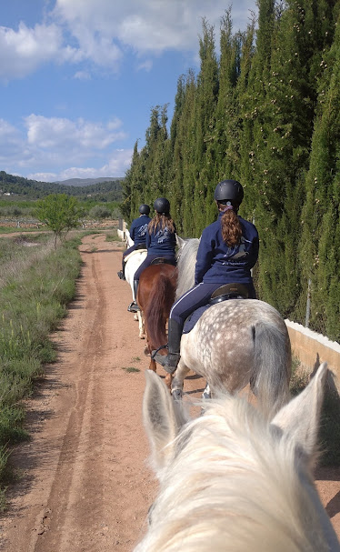 Club Hipico The Paddock