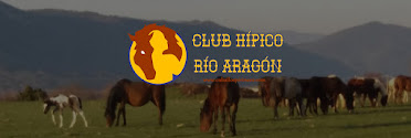 Caballos Pirineos – CLUB HiPICO RiO ARAG N