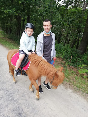 Hipica Bizkaia – Centro Ecuestre Burtotxa