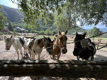 Hipica Rialp Jordi Baro