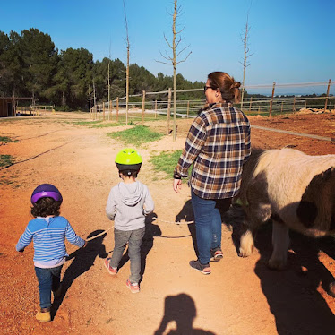 Centre Hipic 3 Aires SL