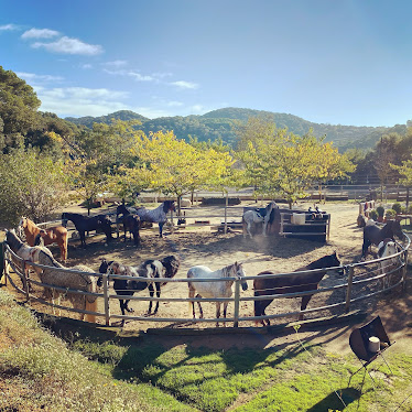 Hipica Cal Fuster Casa de Cavalls