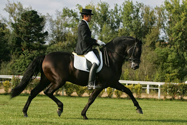 Yeguada Los Corrales