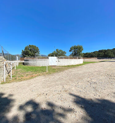 Actividades Ecuestres HG