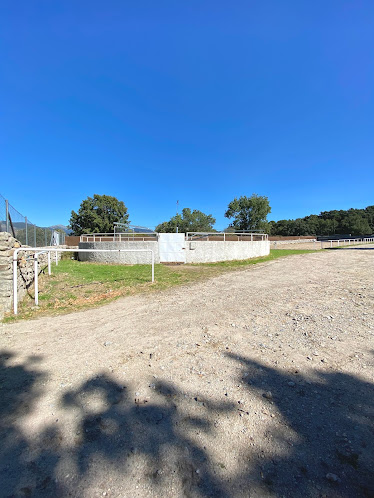 Actividades Ecuestres HG