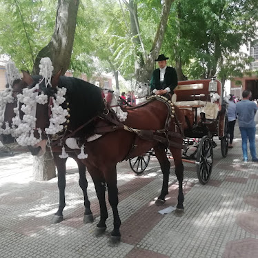 CARRUAJES JOSe REINA