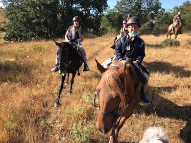 Centro Ecuestre Mirantes